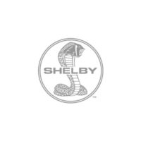 b-15 Shelby